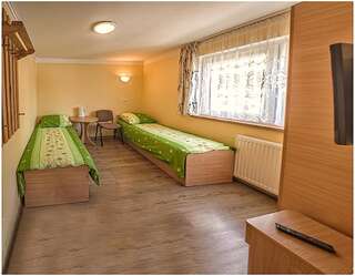 Проживание в семье Willa Izery Шклярска-Поремба Стандартный двухместный номер с 1 кроватью и общей ванной комнатой-5